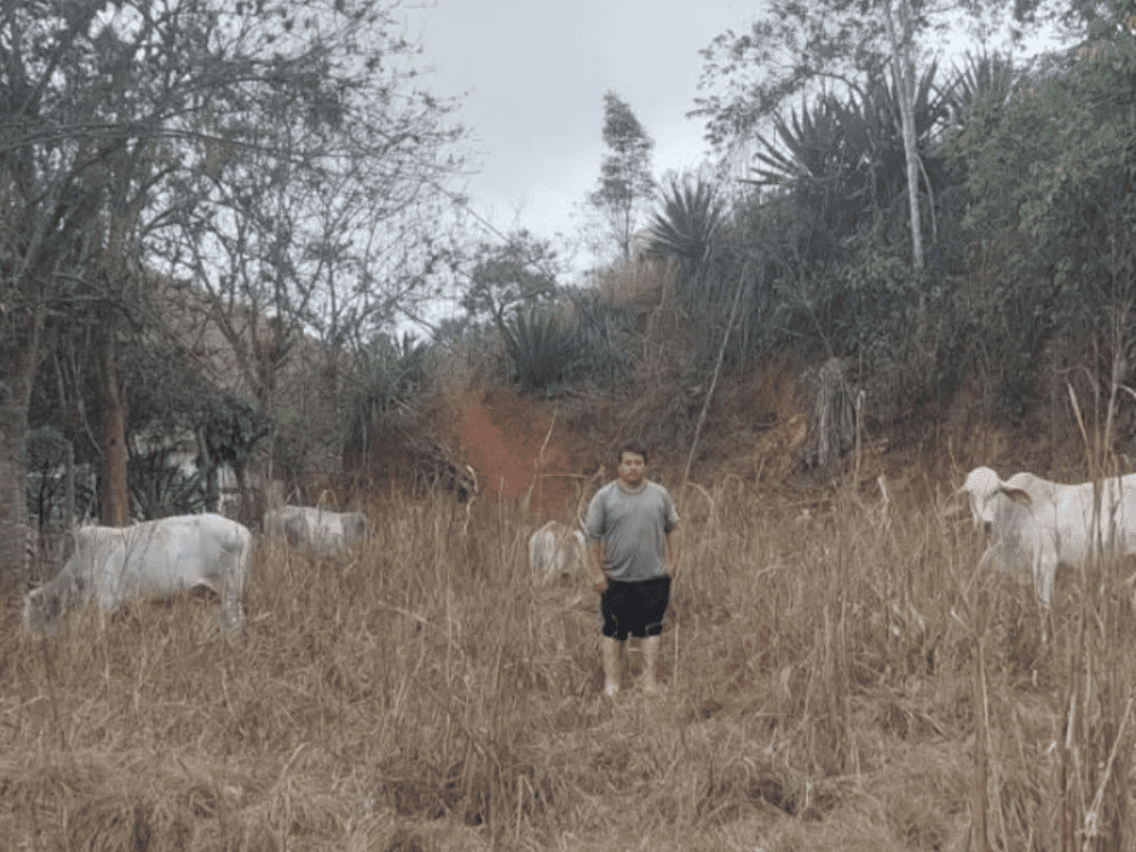 César, with his cattle as we sponsor hime through Lend With Care